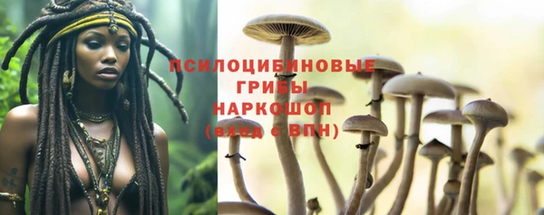 прущая мука Дмитров