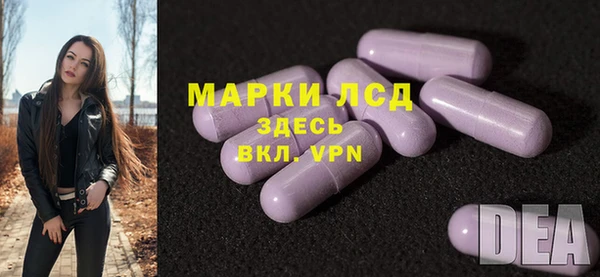 гашик Аркадак
